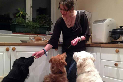 dog walking alderley edge wilmslow